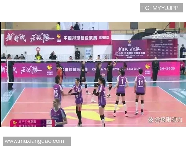 浙江队对决米纳斯队激情四溢的排球盛宴即将上演